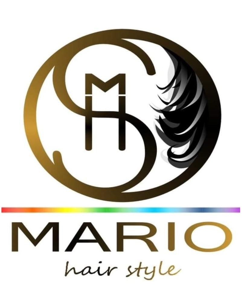 Logo Mario Hair Style